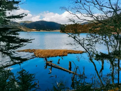 WagonBet Kasino Mobilní aplikace